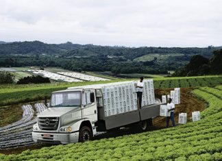 Veja os caminhões que mais vendem; Mercedes lidera