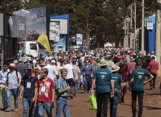 Agrishow 2019: Confira os caminhões expostos da DAF, Iveco, MB, Scania e Volvo