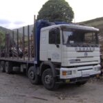 Pegaso_Troner_PresnoJP