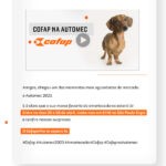e-mail mkt – Automec