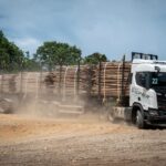 Linha XT na madeira