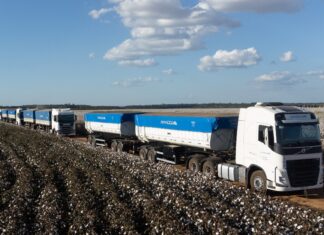 Amaggi amplia frota rodotrens com 100 unidades da Librelato
