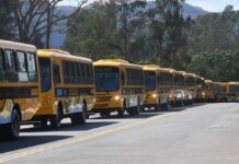 Iveco Bus entrega ônibus para transporte escolar em Minas Gerais