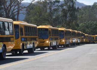 Iveco Bus entrega ônibus para transporte escolar em Minas Gerais