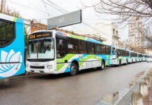Iveco BUS estreia primeiras linhas de ônibus a gás na Argentina Iveco BUS estreia primeiras linhas de ônibus a gás na Argentina