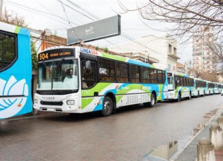 Iveco BUS estreia primeiras linhas de ônibus a gás na Argentina Iveco BUS estreia primeiras linhas de ônibus a gás na Argentina