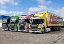 Na estratégia ESG da West Cargo, infraestrutura freia avanço de gás e elétricos Na estratégia ESG da West Cargo, infraestrutura ainda freia avanço de gás e elétricos
