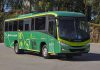 Marcopolo cria ônibus para operações severas no agronegócio Marcopolo